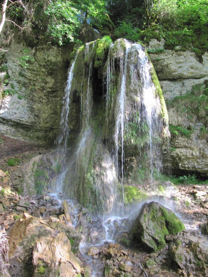 Roetenbacher Wiesen Friedenweiler Экстерьер фото